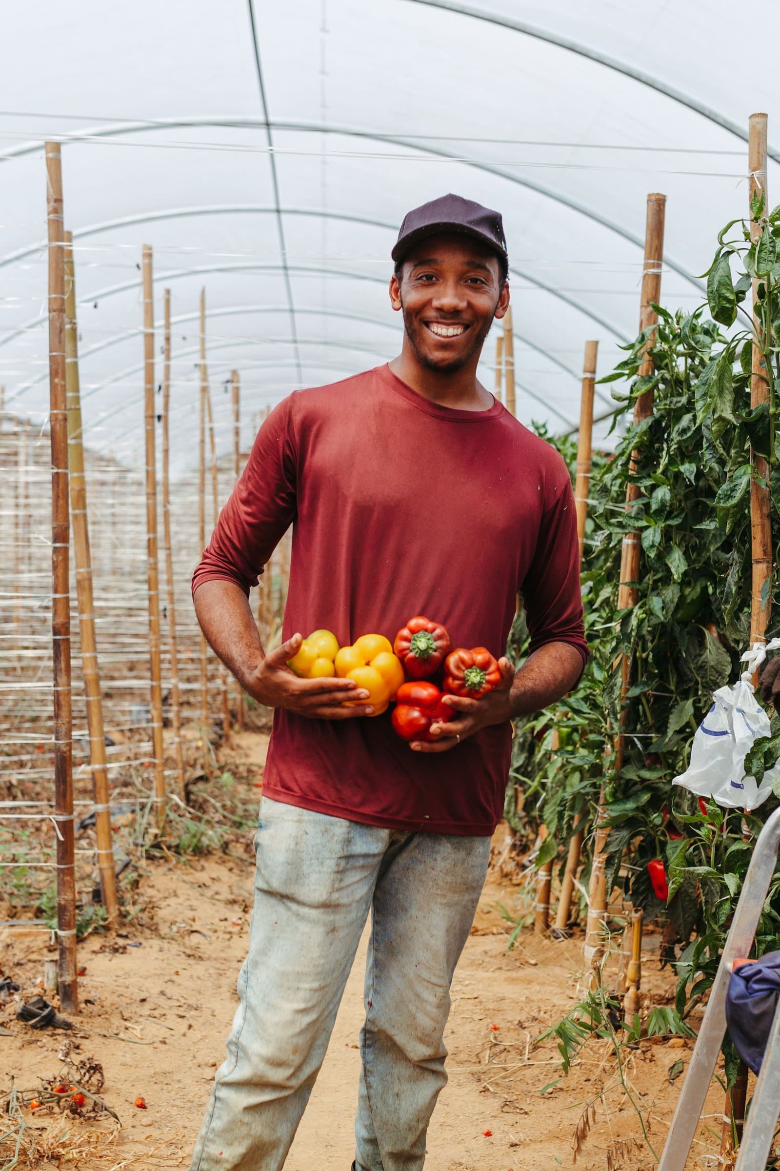A smiling farm worker holding a fresh harvest of peppers