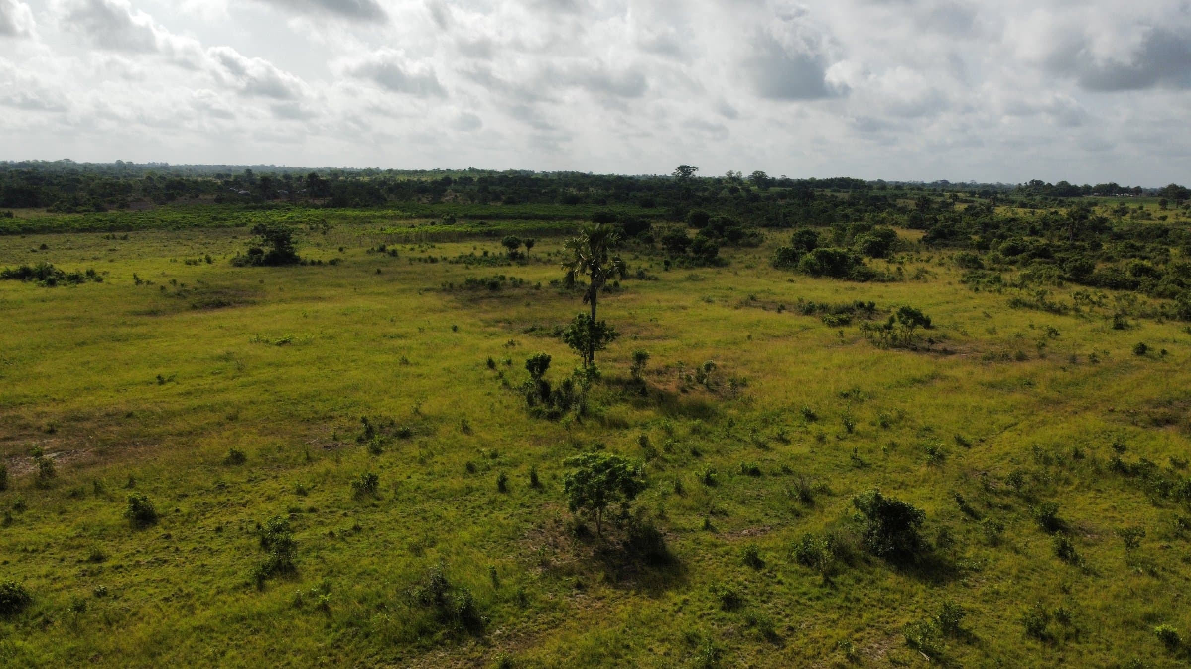 Aerial drone photo of open land at the Ubuntu Eco Gardens site