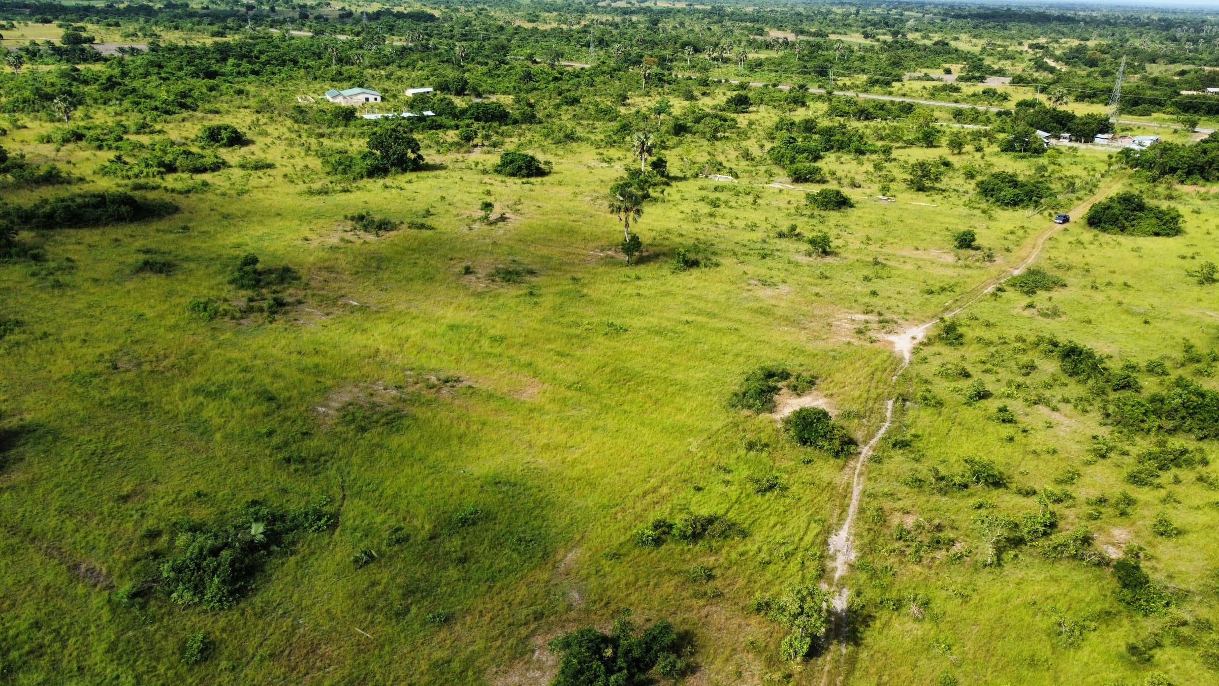 Aerial drone photo of the tree-lined boundary of the Ubuntu Eco Gardens site